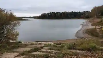 Скриплево — фото 9