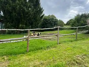 Таруса Экстрим — фото 7