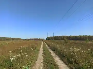 Нара — фото 10