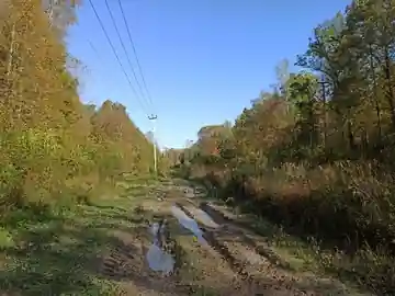 Нара — фото 11