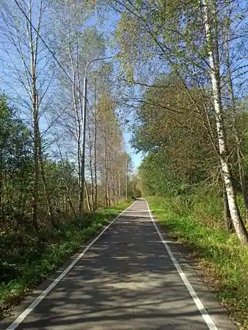 Нара — фото 12