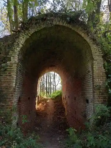 Нара — фото 17