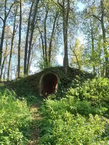 Нара — фото 18