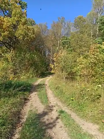 Нара — фото 21