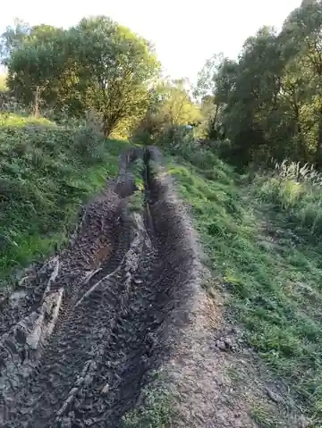 Нара — фото 22