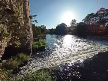 Нара — фото 23