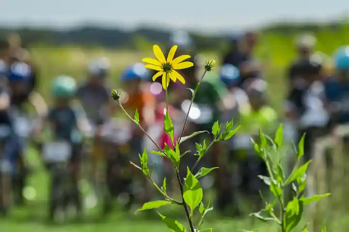 Степной Шторм — фото 31